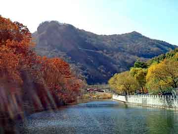 澳门天天免费精准大全，注塑油温机